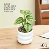 Plantas en maceta en miniatura de hoja verde, vegetación artificial, mini bonsái, decoración del hogar, adornos de interior, vegetación artificial al por mayor