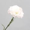 Toque Realista Flores Artificiais de Cravo Hidratantes Presente de Dia das Mães Decoração de Casa Casamento Transfronteiriço Flores Artificiais Atacado