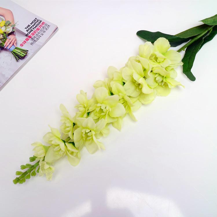 风信子