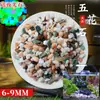 Arena de fondo para acuario, piedras decorativas, juego completo de piedras florales de lluvia ecológicas naturales, piedras luminosas y piedras en bruto