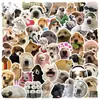 50 pegatinas realistas de perro 2 perro de dibujos animados graffiti cuenta manual DIY decoración de teléfono móvil portátil taza pegatinas