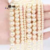 Cuentas de concha blanca redondas transfronterizas 4-10 mm perla de concha cuentas sueltas pulsera DIY collar accesorios de joyería con cuentas al por mayor