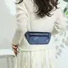 Bolsa de Cintura Impermeável de Nylon Nova para Venda por Atacado, Bolsa Esportiva para Corrida Masculina e Feminina, Mini Bolsa para Celular, Bolsa para Lazer ao Ar Livre
