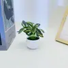 Película de Serigrafia de 8 Folhas Transfronteiriça Planta Verde em Vaso Decoração de Casa Interior Vaso de Flores de Plástico Decoração de Entrada Varanda Ornamentos
