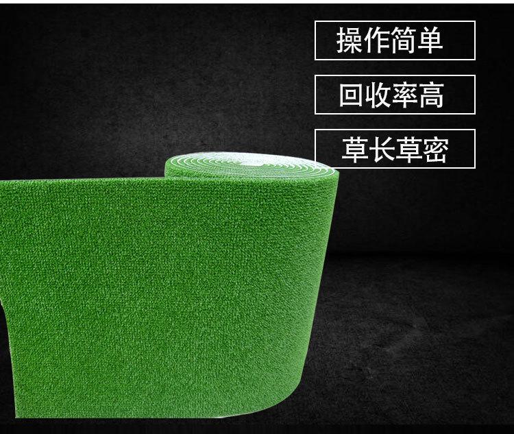 粘金草 (4).jpg