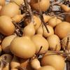 Ruyi Calabaza Espada Nutritiva Adorno Artesanía Artículo Laca Calabaza Único Creativo Decoración Colgante Flotante Laca DIY