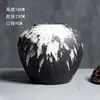 Vaso de Cerâmica Holly Salgueiro da Neve Salgueiro Prateado Diâmetro Grande Planta Verde Simples Mesa de Jantar Ajuste de Água Arranjo de Flores Enfeites