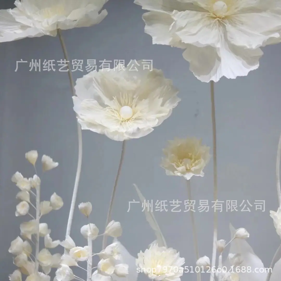 微信图片_20221013230254_副本