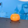 Halloween pequenos ornamentos micro paisagem bonsai decoração suculenta fantasma feliz morcego simulação abóbora bruxa múmia cachorro