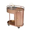 Carro de té de acero inoxidable, carrito multifuncional para preparar té, vehículo de servicio comercial móvil para preparar té para hoteles, casas de té, restaurantes.