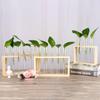 Venda por atacado vidro hidropônico de madeira stand vaso moderno flor seca Ano Novo verde radianete decoração planta desktop simples