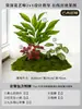 Musgo para Paisajismo de Plantas Verdes Plantas Artificiales Decoración Flores Artificiales Combinación Tropical para Interiores Paisaje de Ventana Persa Arreglo de Césped