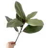 Planta Verde Artificial Nórdica Folha de Magnólia Filme Sensação Folha Falsa Área de Verdejamento de Hotel ao Ar Livre Material de Flor para Paisagismo