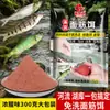 Paquete Grande de Cebo de Gluten para Pescar Mojarras, Pargos y Otros Peces Pequeños