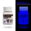 Kit de pigmento luminoso Haite pintura fluorescente luminosa para crianças DIY roupas sapatos pintura tinta luminosa
