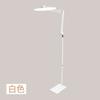 Luz de Escritorio Plegable LED Nueva Transfronteriza Belleza Pestañas Arte de Uñas Clip Larga Protección Ocular Lámpara Tiburón