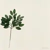 Hojas de Ficus Planta Artificial Hojas Verdes Hojas Boda Exposición Flores de Seda Arreglo Floral Especial Guía de Camino Ramo