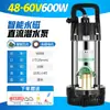 Bomba submersível CC motor grande 12V24V48V60V72V alta elevação grande vazão bateria veículo elétrico bomba de água