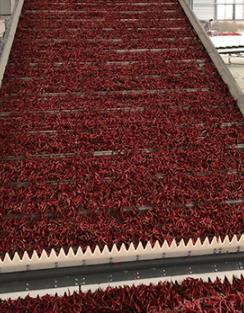 1e161bca99d11bbe37ab61bbf90e2f