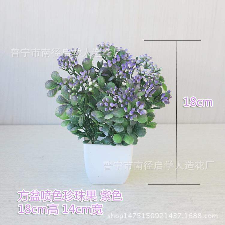 珍珠果紫色