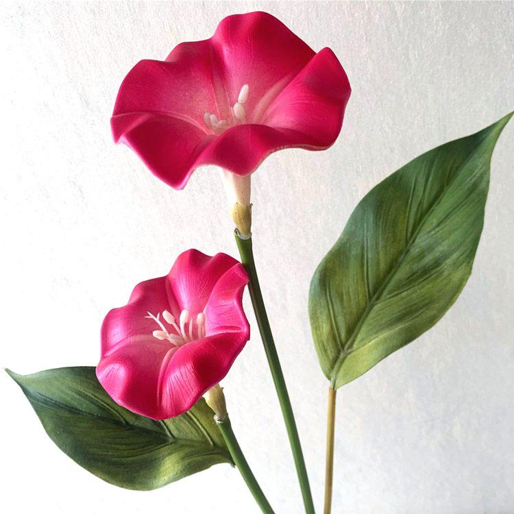 QQ图片20200405203047