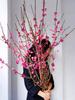 Dropshipping Ciruelo Rojo Ramas Secas Flores Recién Cortadas Flor de Invierno Flor de Durazno Plantas Hidropónicas Interior Balcón Oficina Escritorio Arreglos Florales