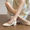 Zapatos Mary Jane Cuadrados Retro Franceses para Mujer 2026 Otoño Nuevos Tacones Altos con Falda Zapatos Pequeños de Cuero Zapatos de Correa Única con Hebilla