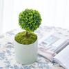 Vaso de cerâmica de luxo leve para casa pastoral, planta verde, bonsai, suculenta, desktop, diâmetro grande, com prato, perfurado, atacado