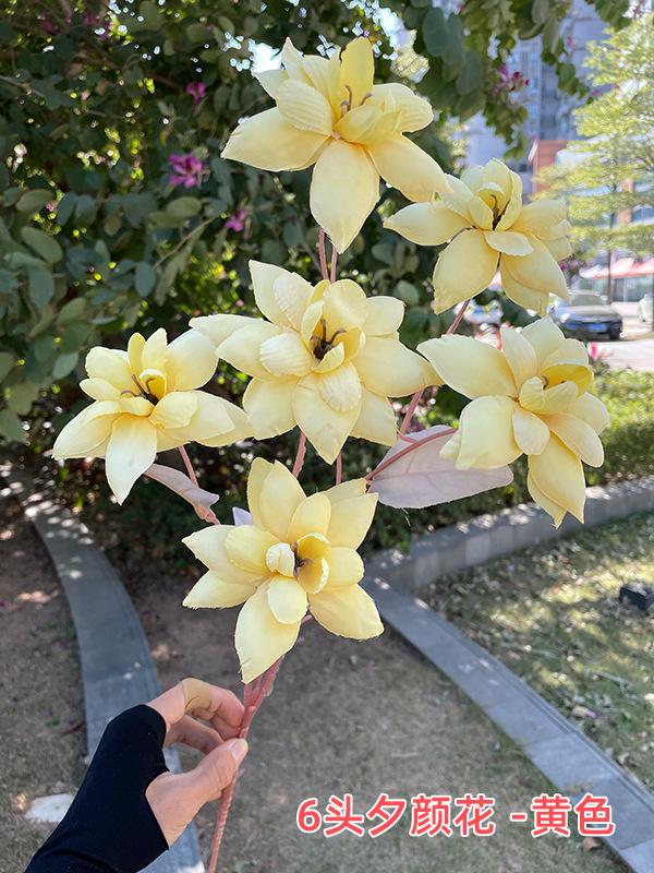 聚美-6头夕颜花--SKU黄