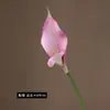Lirio de Calas de Doble Pétalo Simulado de Gama Alta Coreano Material de Tacto Eva Calla Artificial Decoración para Boda Hogar Sala de Transmisión en Vivo
