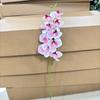Phalaenopsis Simulada de 9 Cabeças Filme 3D Exclusivo Transfronteiriço Flor Única Artificial ao Toque Arranjo Adereços para Fotografia de Casamento ao Ar Livre