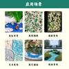 Piso de terrazzo de pedra lavada colorida, pavimentação de pátio, pedra adesiva, pedras decorativas para vasos de plantas, paisagismo de aquário decorativo com peixes, pedras coloridas