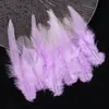 Venta Directa de Fábrica de Puntas de Plumas Blancas Cortas Materiales para Manualidades DIY Accesorios para Atrapasueños Juguetes para Mascotas Palo Atrapagatos Decoraciones