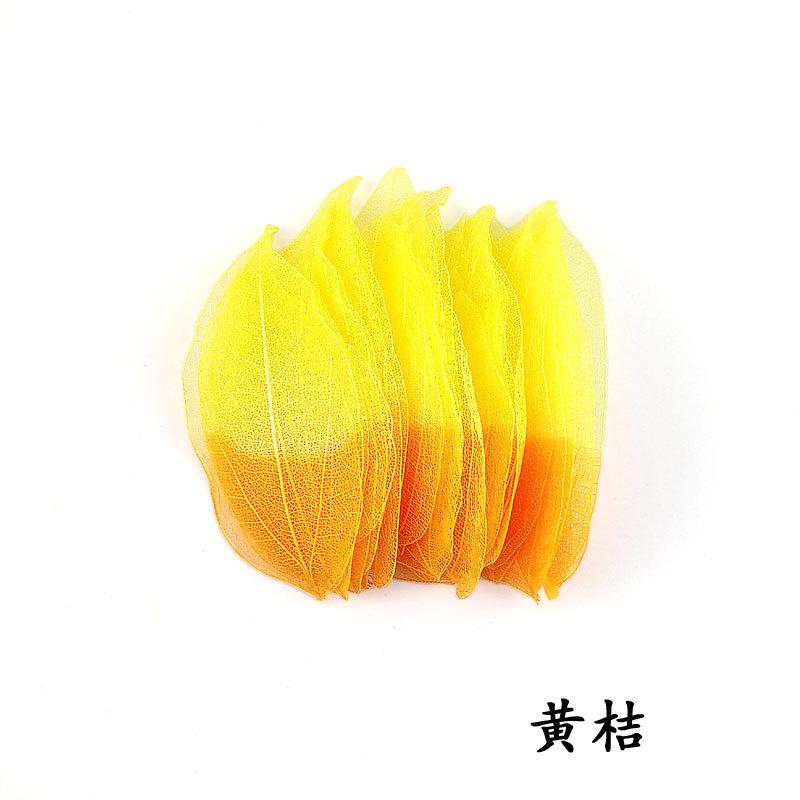 双色金刚叶黄桔.jpg