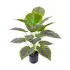 Venta Directa de Fábrica Plantas Verdes Simuladas Hojas de Manzana Roja Árbol Falso Plantas en Maceta Hogar Jardín Paisaje Paisajismo Plantas Simuladas