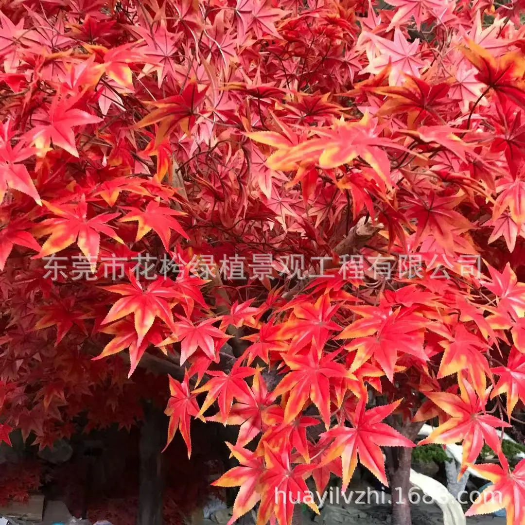 微信图片_201911252235253