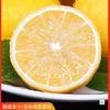 Limones Amarillos Frescos de Piel Fina de Anyue, Sichuan, Selección de Caja Entera de Temporada, Limones Verdes Dulces Perfumados, Kumquats Pequeños Especiales