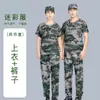 Traje de Uniforme de Entrenamiento Militar de Manga Corta para Hombre Camiseta de Algodón Puro Verano Delgado Uniforme de Camuflaje de Entrenamiento Militar para Estudiantes de Secundaria y Bachillerato Ropa de Entrenamiento Militar