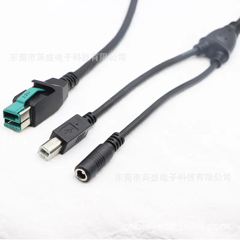 12V 8P公转接DC5.5*2.1母+USBBM
