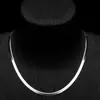 Collar de Cadena de Miel de Empuje Europeo y Americano para Hombre Tendencia Hip-Hop ins Estilo Americano Cadena para Clavícula de Hoja Plateada de Alto Nivel Sin Decoloración Hueso de Serpiente