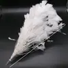45 Modelos Pluma Blanca DIY Hecho a Mano Accesorios para Ropa de Plumas Adornos Accesorios Materiales Productos