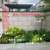 Arreglos de Plantas Grandes para Paisajismo, Decoraciones Florales de Jardín, Conjuntos de Paisajismo para Esquinas de Hoteles y Restaurantes, Manojos de Cañaveral Real