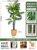 Palmera Areca Artificial Grande de Lujo de Gama Alta, Planta Verde, Árbol Falso, Planta de Bambú Cola de Fénix para Decoración de Paisajismo Tropical de Interiores