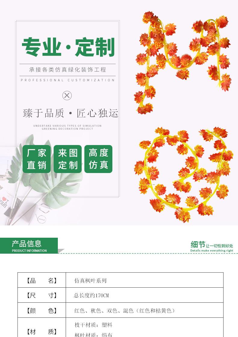 混合仿真枫叶_01.jpg