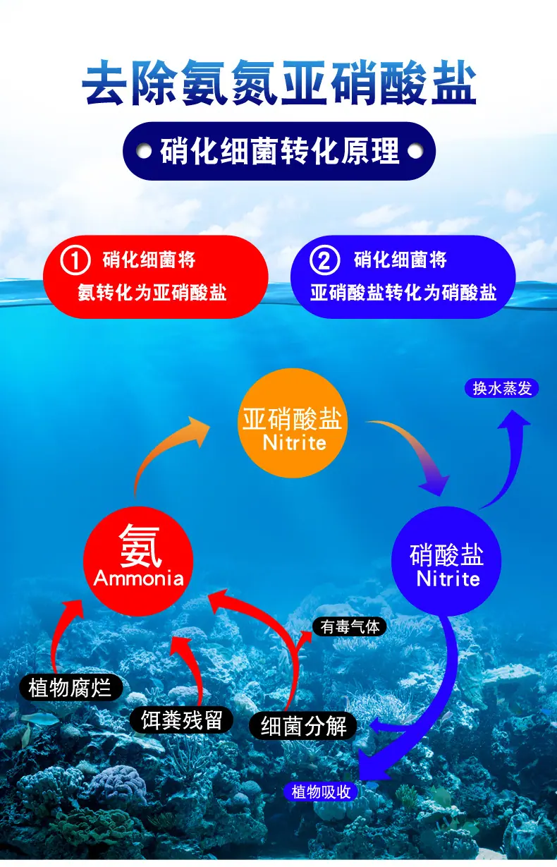 详情_10.jpg
