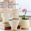 Vaso de Cerâmica para Flores com Prato, Estilo Ins de Luxo Leve, Diâmetro Grande, Estilo Creme, para Orquídeas e Suculentas, Liquidação