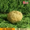Modelo de Hongo Hongo Silvestre de Yunnan Espécimen Falso Adorno Decoración Escena Montaje Accesorios para Disparar Matsutake
