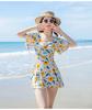 2026 Novo Modelo Maiô de Fonte Termal Saída de Praia Estilo Fada Roupa de Banho Peça Única Emagrecedora para Meninas Ligeiramente Acima do Peso com Estampa Floral Pequena Estilo Japonês