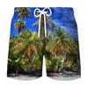 Pantalones de playa deportivos de ocio para hombre, venta al por mayor, impresión digital 3D, para vacaciones de verano en la playa, 2023