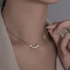 Collar de Cuentas de la Suerte Plateado Plata de Ley 925 Estilo Minimalista Vibras de Lujo Cadena para Suéter Grano de Arroz Tiktok
